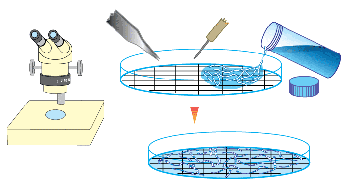 The gridline intersection method for VAM assessement part 1